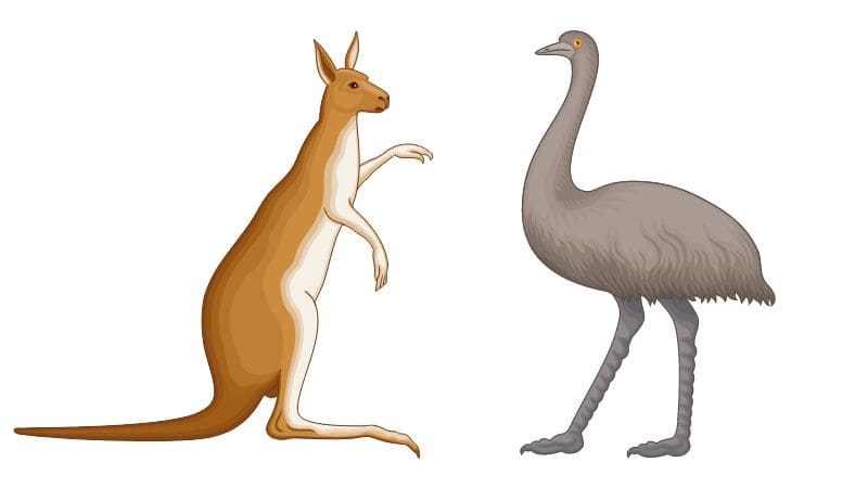 animales del escudo de armas australiano